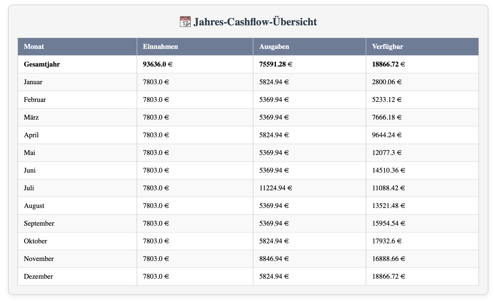 Jahres-Cashflow Übersicht